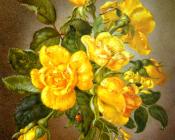 Summer - 塞西尔·肯尼迪